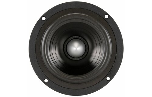 FR135EX 5" Full Range Speaker