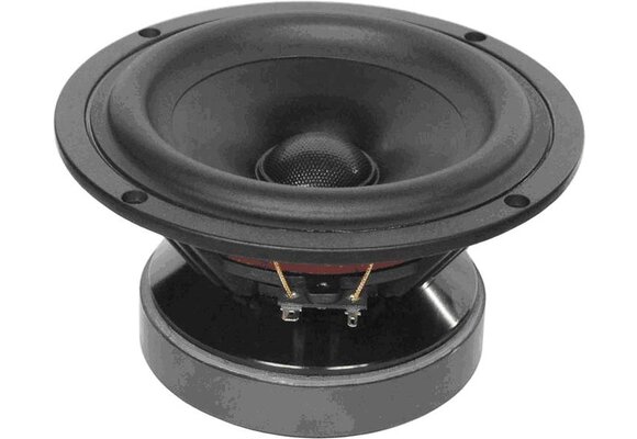 W6-1721 Bass-midwoofer