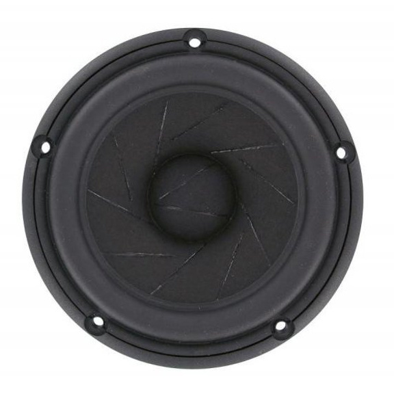 Revelator 15W/4531G00 5.5" Woofer