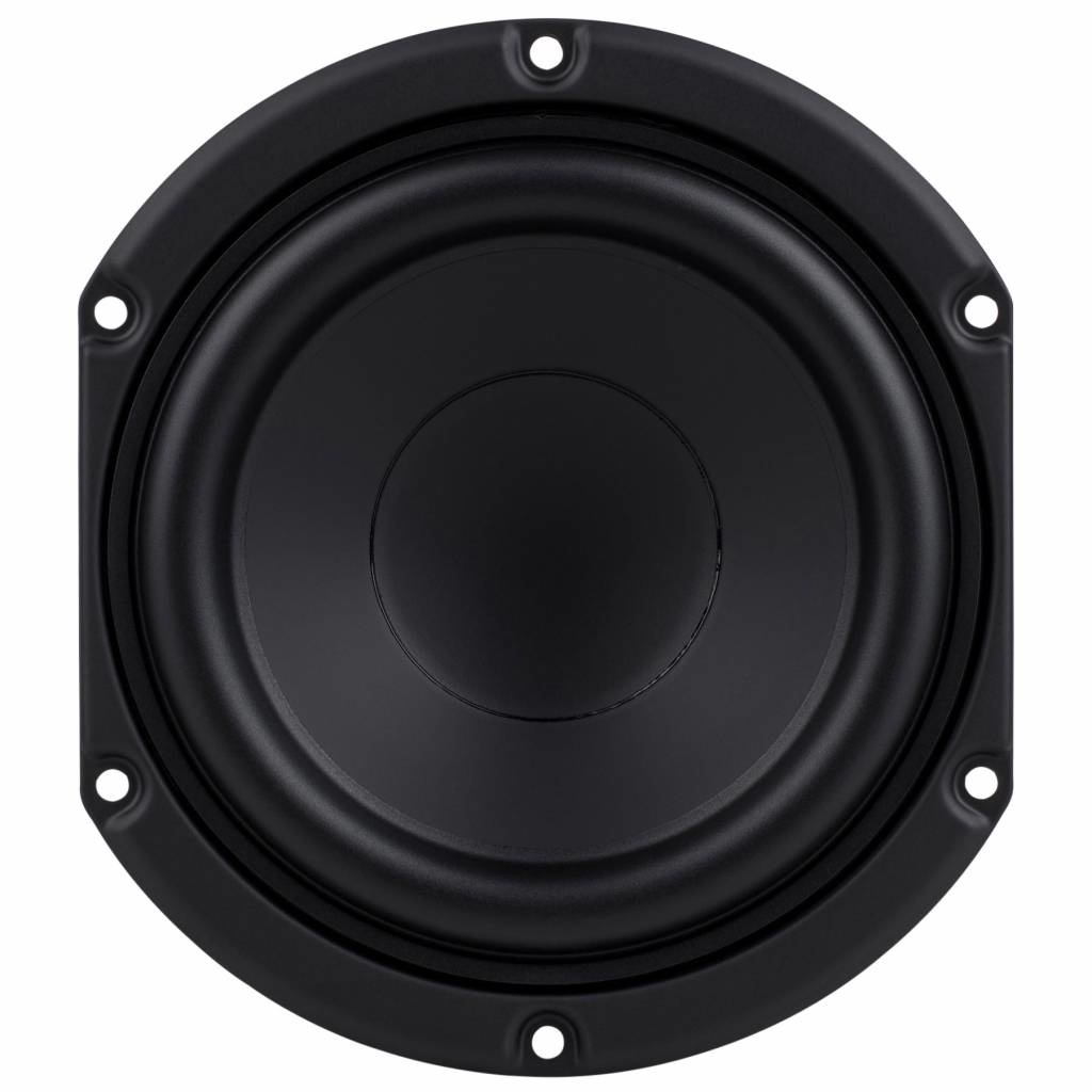 SDS-135F25CP02-04 5-1/4" Paper Cone Woofer