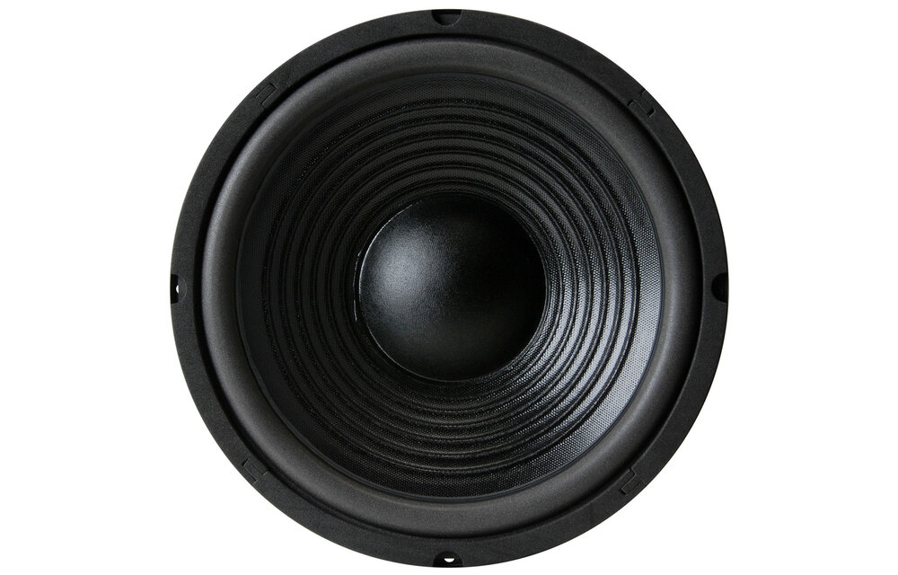 10PF-8 10" Paper Cone Foam Surround Woofer