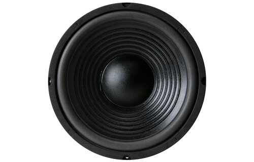10PF-8 10" Paper Cone Foam Surround Woofer