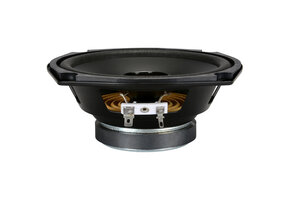 5AS-4 Replacement Full-range Woofer