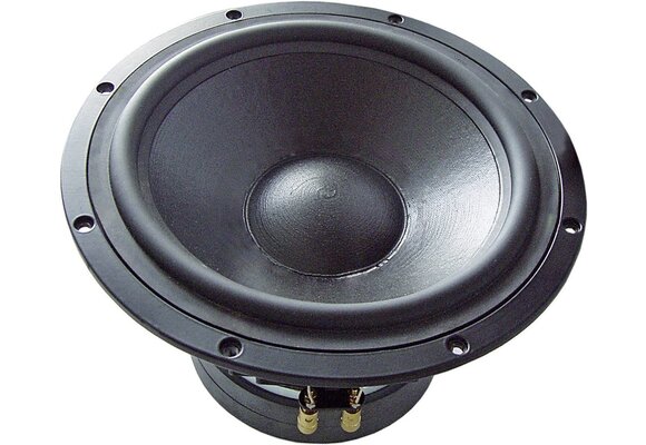 TIW 300 Subwoofer