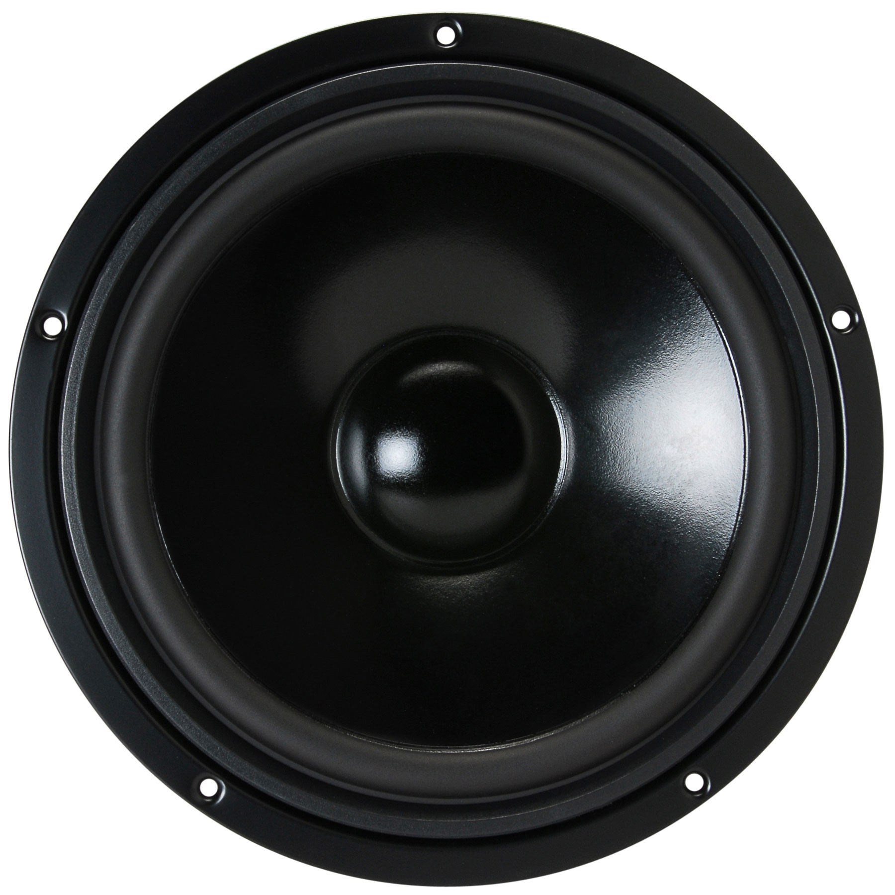 W 250 S - 8 10" HiFi Woofer 8 Ohm