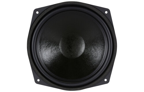 WS 25 E 10" HiFi Woofer 8 Ohm