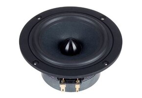 B 100 Full-range Woofer