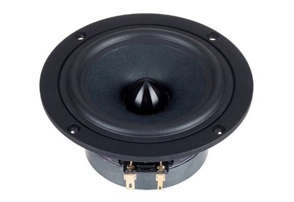 B 100 Full-range Woofer
