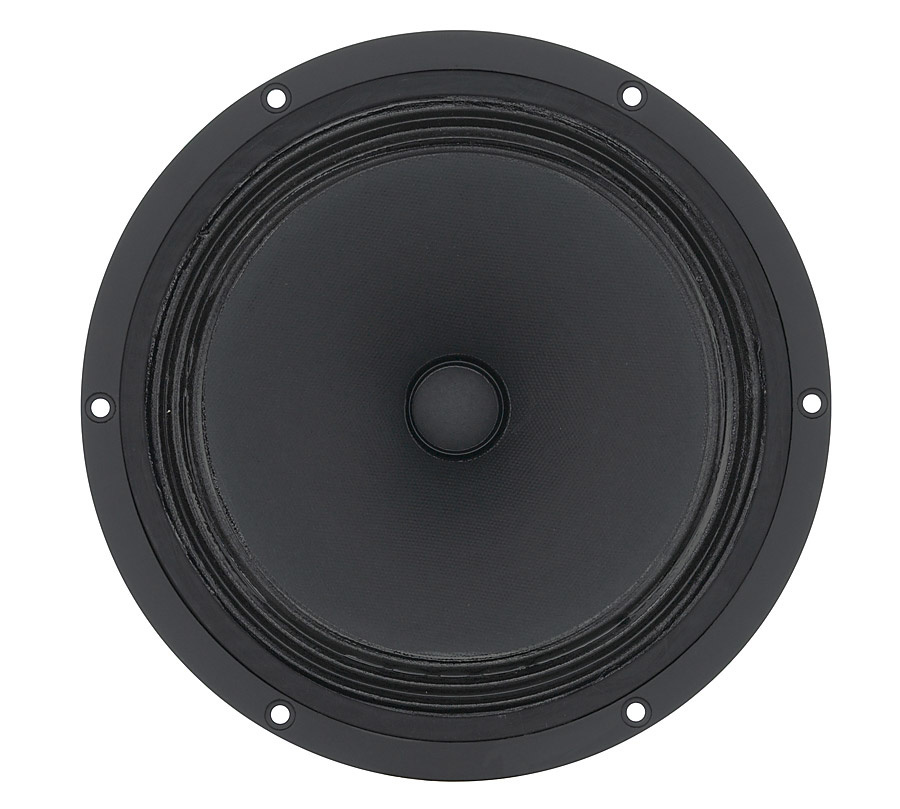B 200 8" High-End Full-Range Loudspeaker 6 Ohm