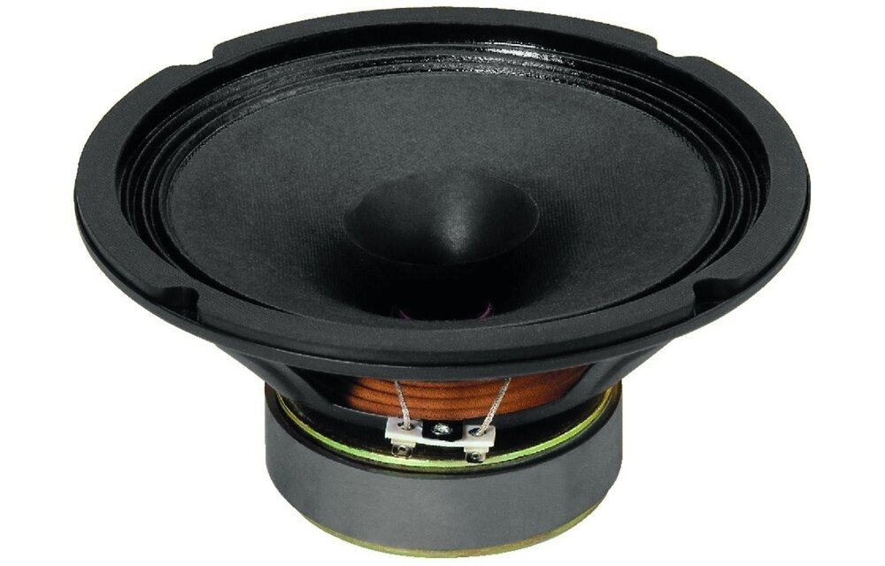 SP-200X 8'' Full Range Driver 8 Ohm