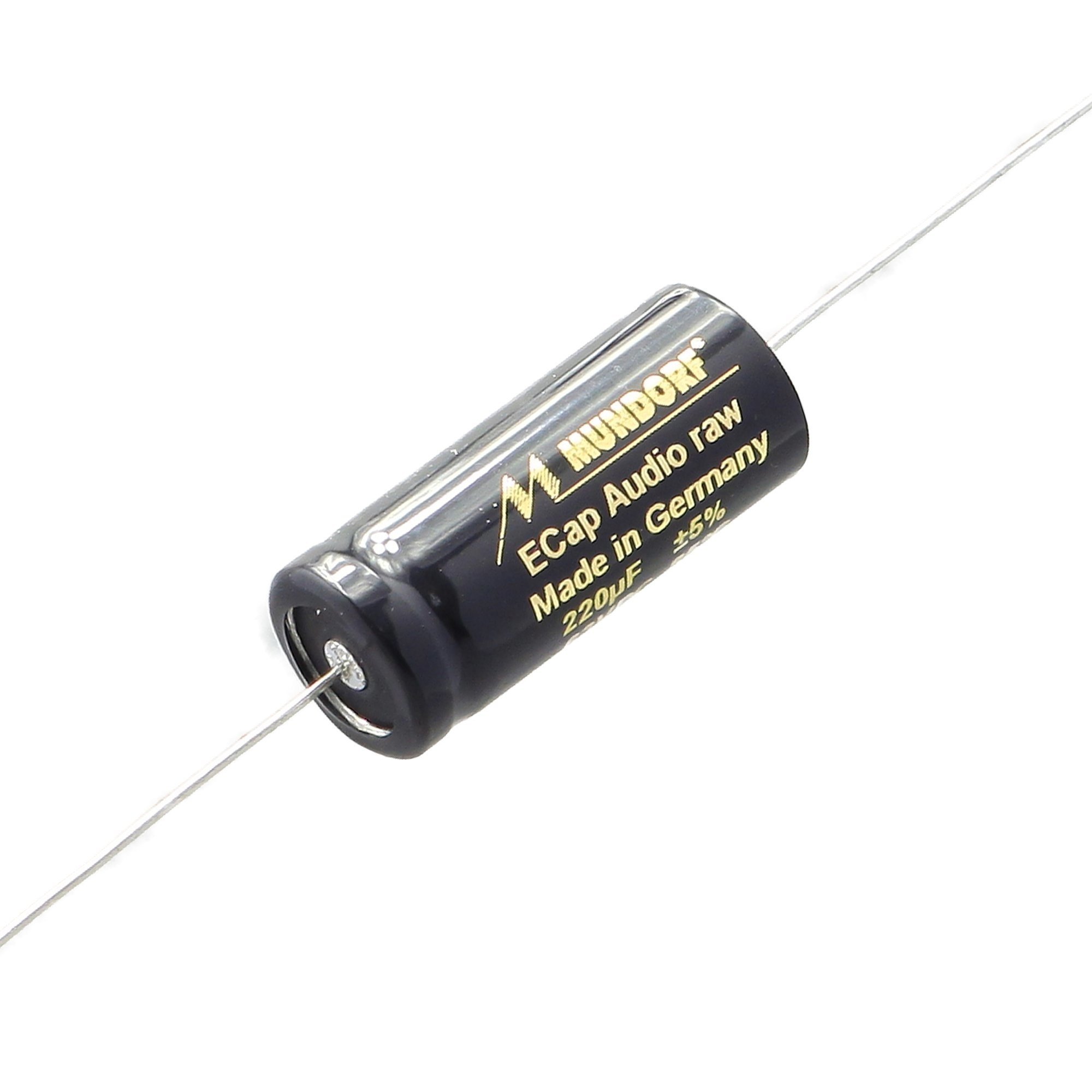 ECap RAW | ECAP63-220 | 220 µF | 5% | 63 V | Electrolytic Non-Polarized Cap