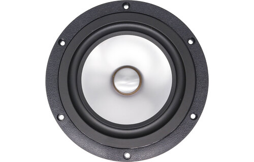 Alpair-10 Grey  6" Full-range Woofer