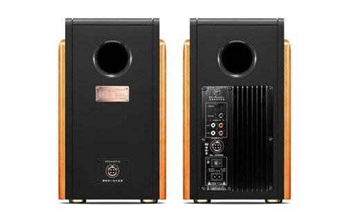 Swans M200MKIII+ Bluetooth Bookshelf Speakers