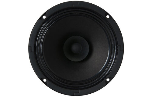 BG 17 6.5" Full-Range Speaker 8 Ohm