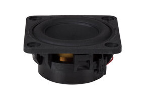 W1-1070SH Full-Range Woofer