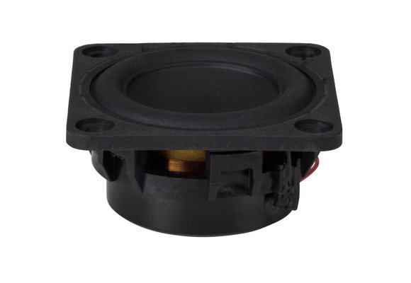 W1-1070SH Full-Range Woofer