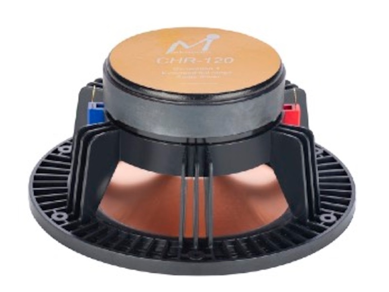 CHR-120 6.5" Gold Full Range Magnesium Woofer