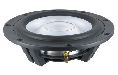 SW26DAC76-8 10" Subwoofer 8 Ohm