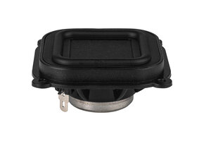 TEBM36S12-8A BMR Full-Range Speaker