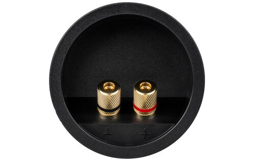 Gold Pressfit Binding Post Banana Jack 5-Way Speaker Terminal Cup