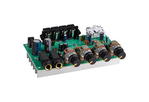 TDA8946 | Mic and Line inputs | Amplifier Module