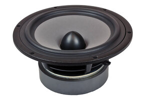 Excel W18NX003 - E0096-08 Full-range Woofer