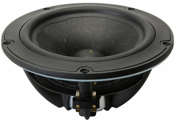 NE180W-08 Bass-midwoofer