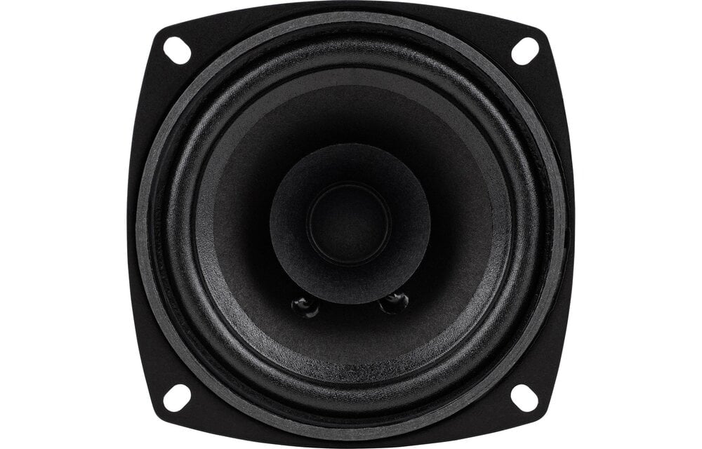 FR 10 Full Range Woofer