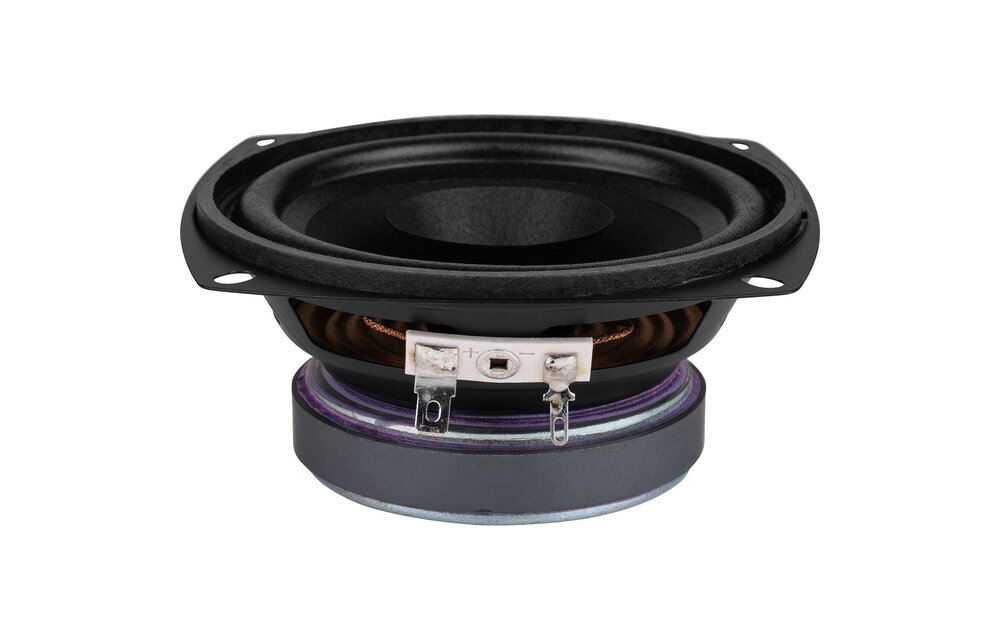 FR 10 Full Range Woofer