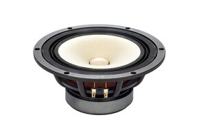 MA200‑P MICA Full-range Driver