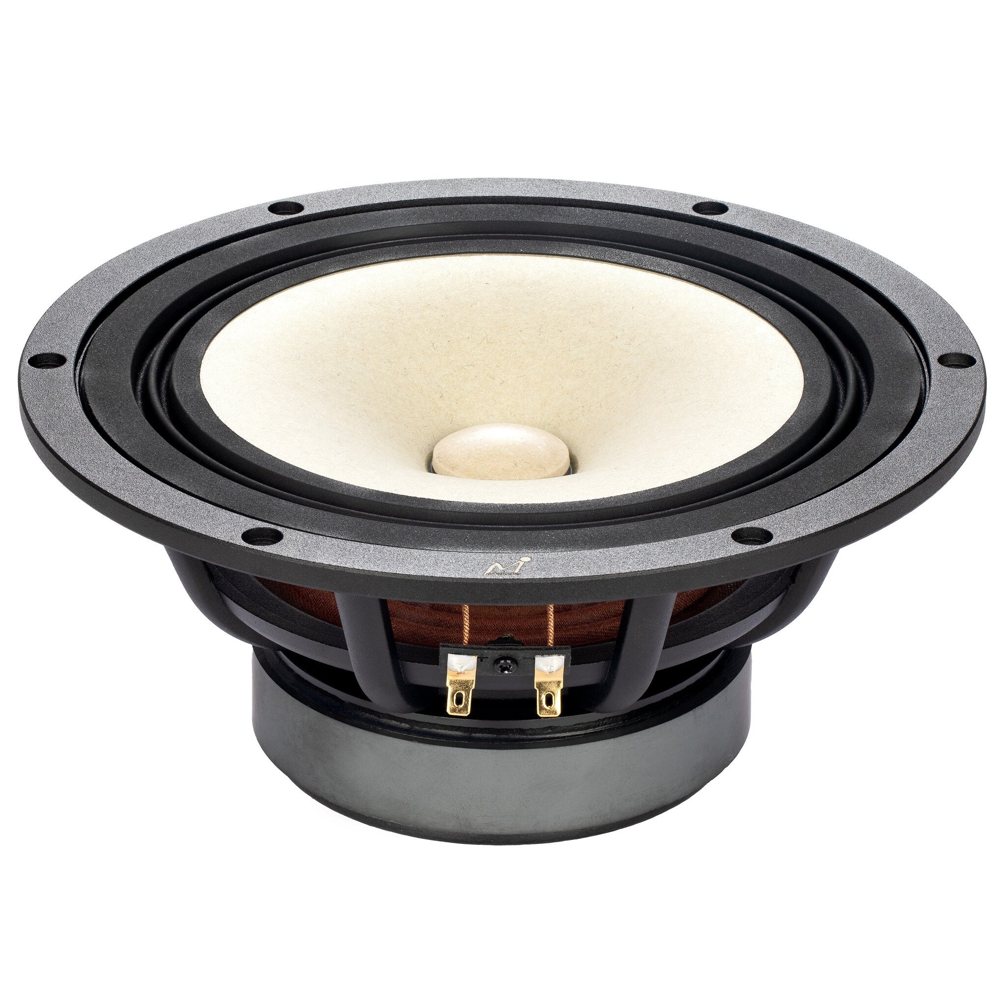 MA200‑P MICA 8" Full-Range Driver 8 Ohm