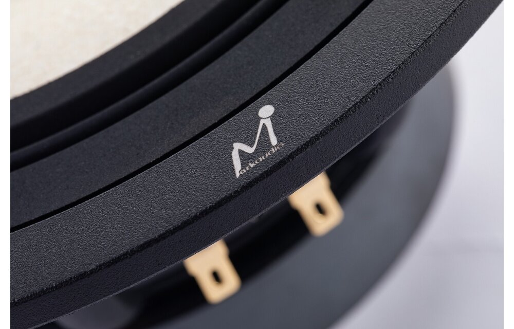 MA200‑P MICA 8" Full-Range Driver 8 Ohm