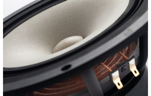 MA200‑P MICA 8" Full-Range Driver 8 Ohm