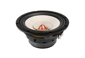 8FR Full-Range Woofer