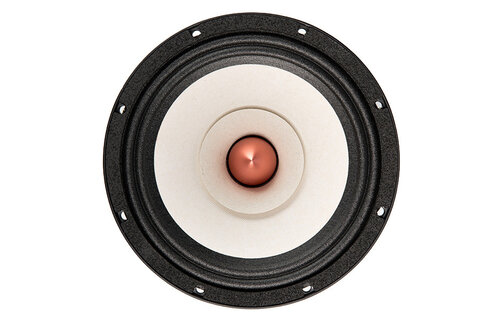 8FR 8" Full-range woofer 4 ohms
