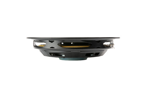 Twiggy12 12" Shallow subwoofer 4 ohms