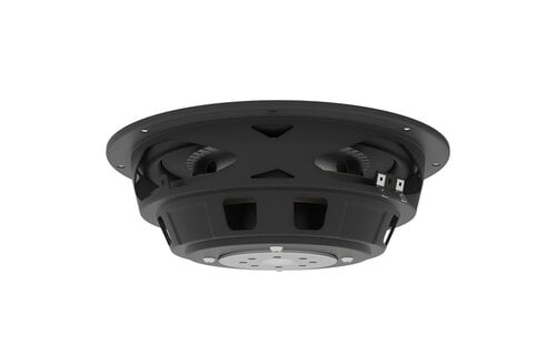 Twiggy10 10" Shallow Subwoofer 4 ohms