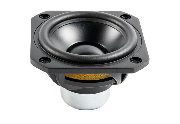 31NFR Full-Range Woofer
