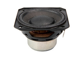 22NFR Full-Range Woofer