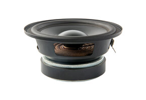 5FHW Subwoofer