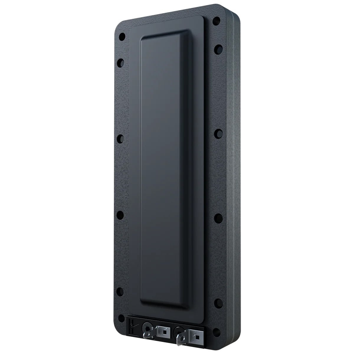 LT6 Planar Ribbon Tweeter