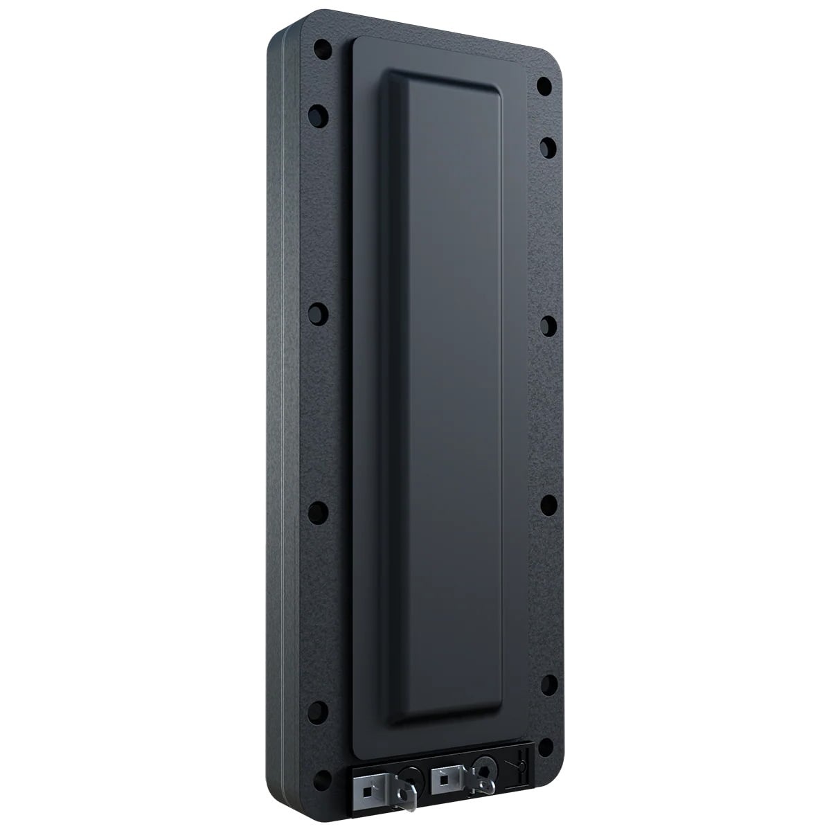 LT6 Planar Ribbon Tweeter