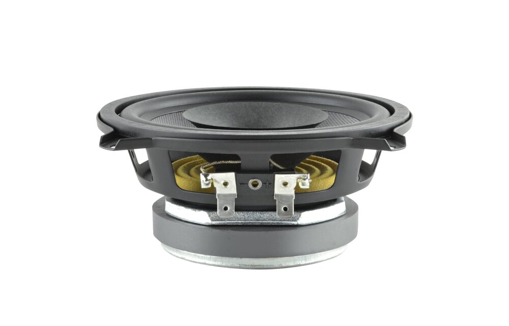 5 D 1 CS - 8 5" Full-range driver
