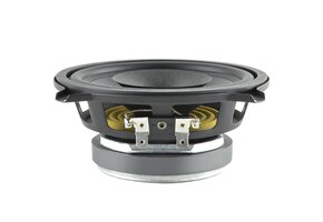5 D 1 CS - 8 Full-range driver