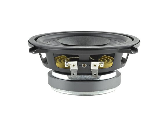 5 D 1 CS - 8 Full-range driver