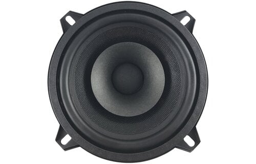 5 D 1 CS - 8 5" Full-range driver