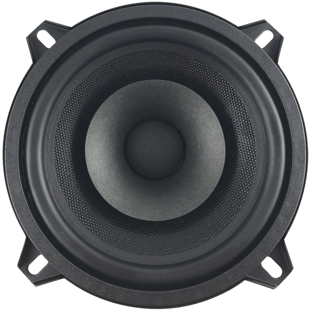 5 D 1 CS - 8 5" Full-range driver