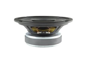 8 D1 1,5 CS - 8 Full-range driver