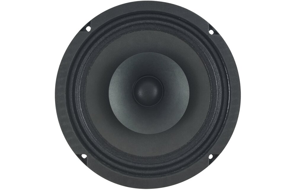 8 D1 1,5 CS - 8 8" Full-range driver