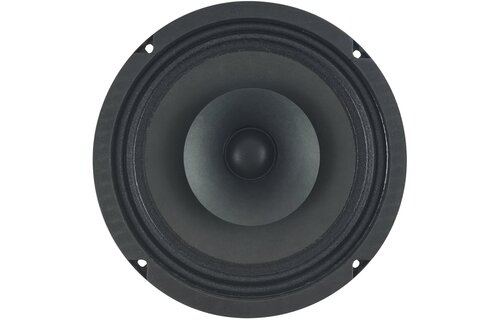8 D1 1,5 CS - 8 8" Full-range driver